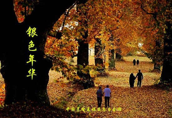 开始阅读